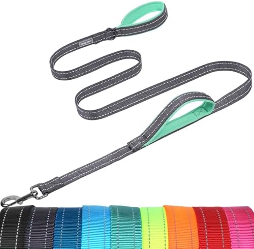 VIVAGLORY Double Handle Dog Leash Twingrip, 5ft x 1in, Grey by VIVAGLORY