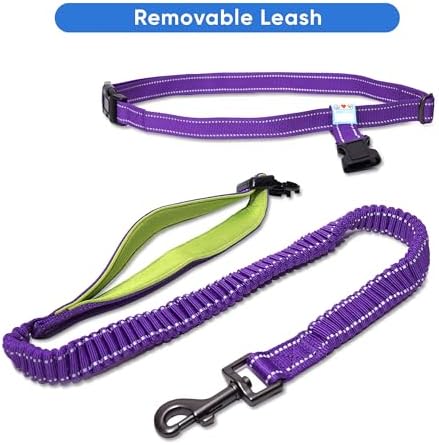 Pawtitas Hands Free Dog Leash Running Leash for Dogs Create A Pet Exercise Routine with The Dog Running Leash Hands Free Enjoy The Walking Or Jogging Accessory Bungee Dog Leash Purple Dog Leash - Image 6