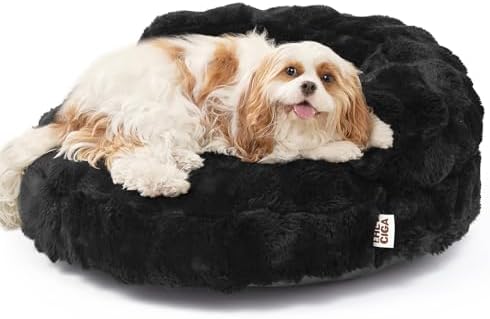 EHEYCIGA Soft Cat Couch Bed for Indoor Cats, Fluffy Small Dog Bed with Removable Washable Cover, Bolster Pet Sofa, Waterproof and Non-Slip, 26" x 26"x 8", Black by EHEYCIGA