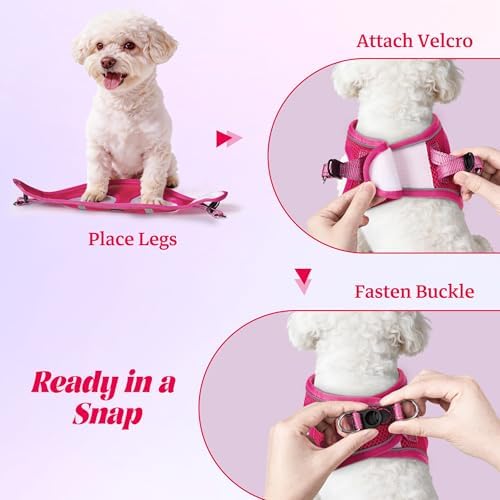 No Pull Dog Puppy Harness and Leash Set Reflective Mesh Vest Medium - Image 4