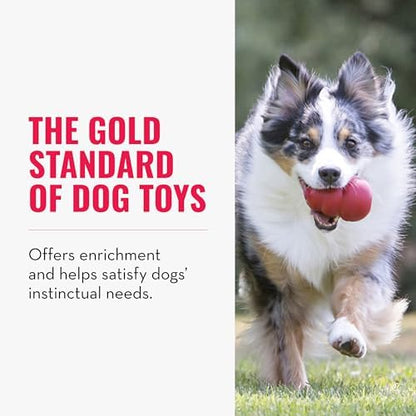 KONG Classic Stuffable Dog Toy, Natural Rubber Chew, for XX-Large Dogs - Image 4