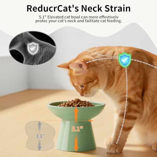 LoeJan Ceramic Cat Bowls, Elevated Cat Food and Water Bowls Set, Extra Wide and Raised Ceramic Bowls, Anti-Vomit Whisker-Free Pressure Cat Feeder for Kittens to Adult Cats - Image 4