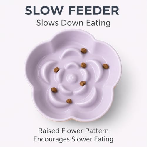 Ceramic Elevated Slow Feeder Cat Bowl, Raised and Gently Tilted Feeding Dish with Maze Design, Whisker-Friendly, Easy to Clean, for Indoor Cats and Small Dogs (Yellow/Purple) - Image 5