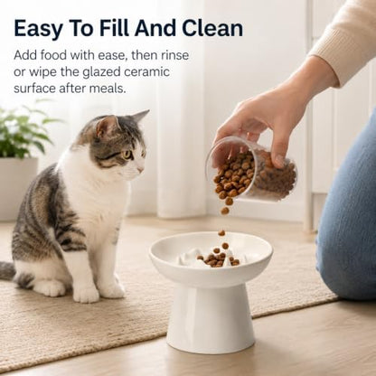 Ceramic Elevated Cat Slow Feeder Bowl, 6 Inch Shallow Wide Dish, 12oz Anti‑Vomiting Cat Food Bowl for Dry & Wet Food, Anti‑Slip Pet Feeding Bowl, White - Image 2