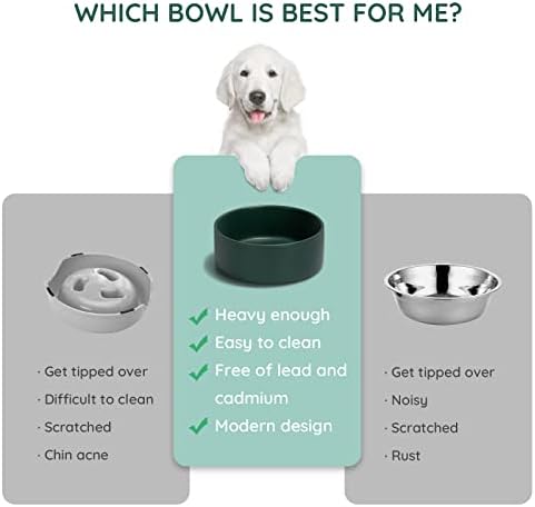 SPUNKYJUNKY 28.7OZ Ceramic Dog and Cat Bowl, Modern Cute Weighted Food Water Bowl for Replacement Green (1 Pack) - Image 5