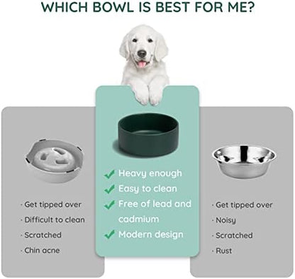 SPUNKYJUNKY 28.7OZ Ceramic Dog and Cat Bowl, Modern Cute Weighted Food Water Bowl for Replacement Green (1 Pack) - Image 5
