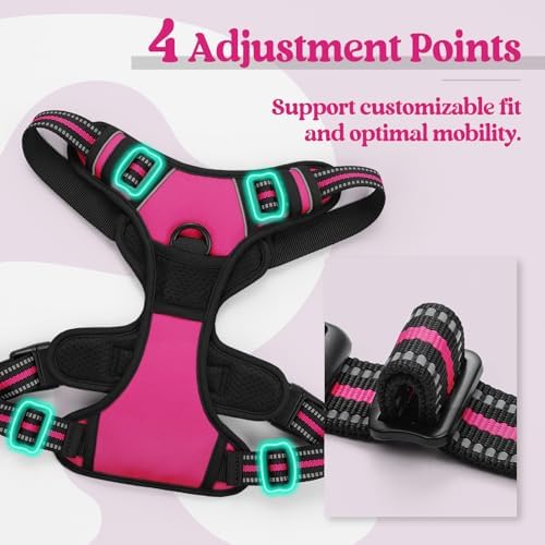 rabbitgoo Dog Harness, No Pull Medium Sized with 2 Leash Clips, Pet Vest - Image 4