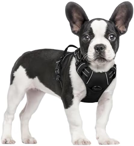 rabbitgoo Dog Harness, No Pull for Small Dogs with 2 Leash Clips, Pet Vest by rabbitgoo