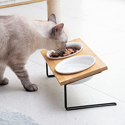 Sweejar Ceramic Elevated Cat Bowls, Small Dog Bowls, 15° Tilted Raised Pet Bowl with Solid Wooden Stand to Protect Spine, Water and Food Feeder for Cat and Dog, Pack of 2 (White) - Image 4