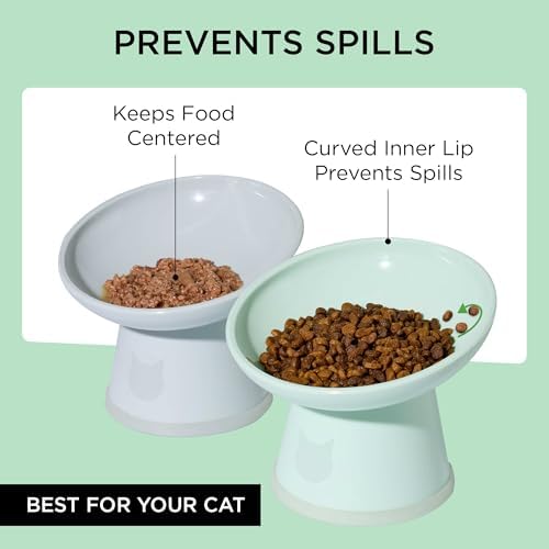 Necoichi BPA-Free Elevated Cat Food Bowls, 15° Tilted, 2-Pack (Smoky Mint) - Image 4