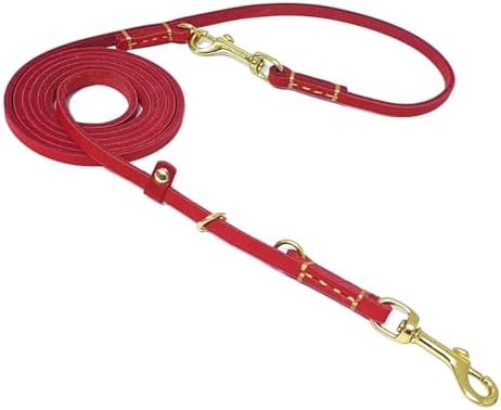 LWBMG Multi Function Leather Dog Leash - 8ft Genuine Leather Hands Free Double Ended Dog Training Leash for Small Medium Dogs - Red by LWBMG