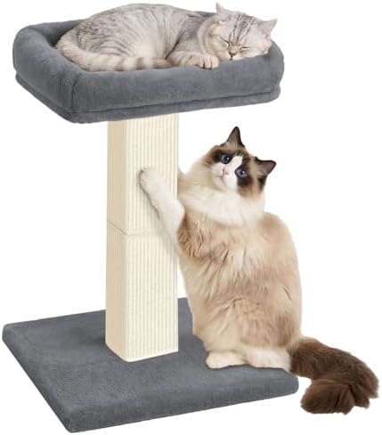 Cat Scratching Post with Plush Perch for Indoor Cats, 32 Inch, Grey by AGYM