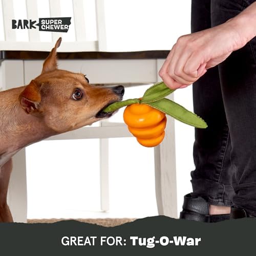 BarkBox Deep Roots Carrot Super Chewer - Toy for Small Dogs - Image 5