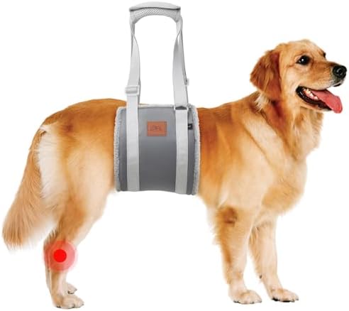 Adjustable Dog Sling for Large Dogs Hind Leg Support Weak Legs Mobility Aid by PICKFORLIFE