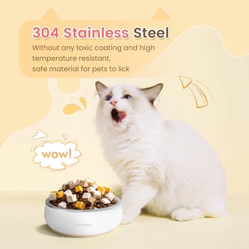Pawaii Small Dog Bowl, 12 oz Stainless Steel Food and Water Bowl, 1 Pack - Image 2