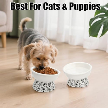 2 Pack Ceramic Elevated Cat Bowls, 6" Extra Wide Tilted Raised Pet Dish, Whisker Friendly Food and Water Bowl for Small Dogs, Anti Vomiting & Protect Pet's Spine, Microwave Dishwasher Safe - Image 7