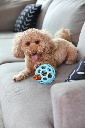 JW Pet HOL-ee Roller Dog Puzzle Ball, Medium 4.5in, Natural Rubber, Blue - Image 4