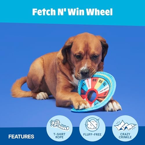 BarkBox Fetch N' Win Wheel Dog Toy - for Dogs - Image 4