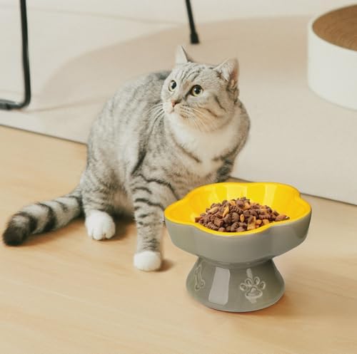 S&Q's CERAMICS Raised Cat Bowl, Elevated Cat Bowl for Food and Water, Ceramic Titled Dish, Anti Vomit & Whisker Friendly, Microwave and Dishwasher Safe (Yellow, 5.8") - Image 5