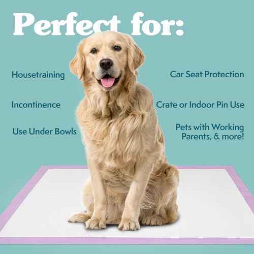 Simple Solution All Day Training Pads, Lavender Scented, 23"x24" 100 Count - Image 3