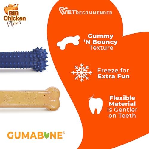 Nylabone Flexi Chew Original Bone & Textured Bone Dog Chew Toys, 2 Count - Image 4