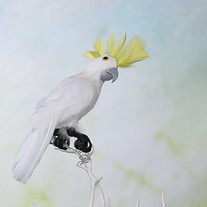 White Feathered Display Cockatoo Bird with Vibrant Yellow Head Feather Crest - Tikki Restaurant Prop, Pirate Costume or Baretta Fake Bird