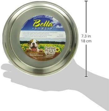 Loving Pets Bella Bowl Designer & Expressions Dog Bowl, Medium, Dragonfly, Turquoise (Pack of 3)
