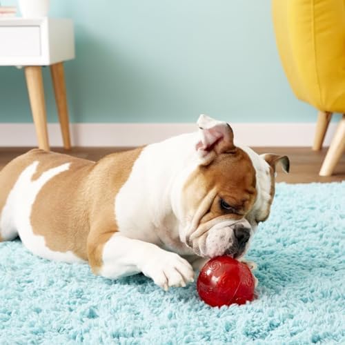 KONG Squeezz Ball Dog Toy - Assorted Medium (2.5" Diameter) - Pack of 3 - Image 3