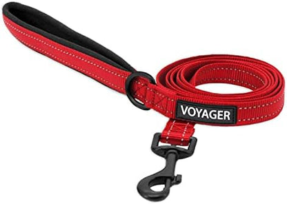Best Pet Supplies Voyager Nylon Dog Leash - Red, Medium by BestPetSuppliesLLC