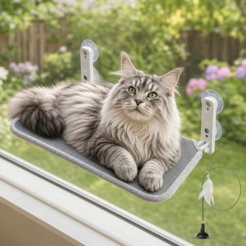 Cat Window Perch, 2-in-1 Reversible Mesh & Fleece Hammock | Sturdy Window Seat for Large Indoor Cats, Holds Up to 33 lbs by Unknown