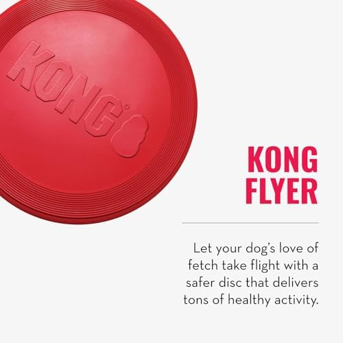 KONG Goodie Bone and Flyer Dog Toy Set, for Small Dogs - Image 3