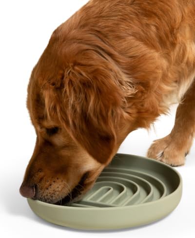 Slow Feeder Dog Bowl - Silicone Dog Bowl, Large, 9.5" x 1.5" - Sage by ShouldWeGo