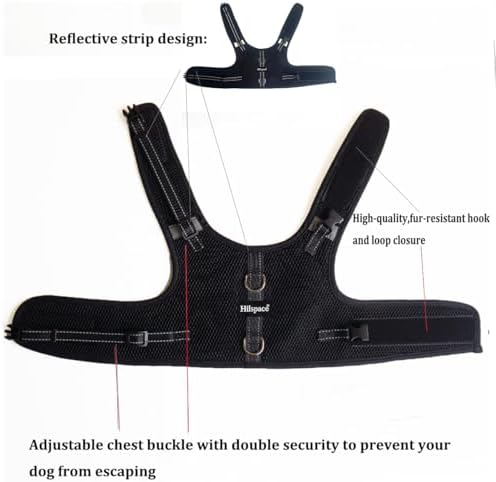 Mini Dachshund Harness – No Armpit Rub, Escape Proof, Reflective, No Pull Vest-Style Dachshunds Harness,Breathable Mesh Dog Harness (Black, S: Chest 32-41cm (12.5"-16")) - Image 3
