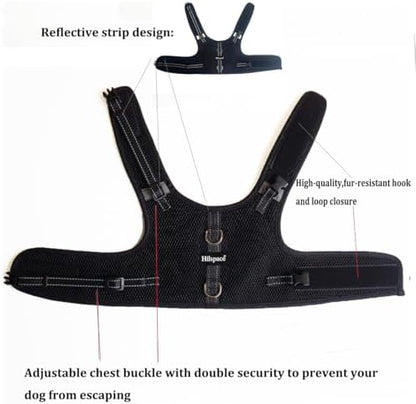 Mini Dachshund Harness – No Armpit Rub, Escape Proof, Reflective, No Pull Vest-Style Dachshunds Harness,Breathable Mesh Dog Harness (Black, S: Chest 32-41cm (12.5"-16")) - Image 3