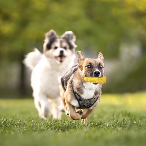 Dog Chew Toys for Aggressive Chewers,Idestructible Tough Durable Squeaky Interactive Dog Toys，Durable Dog Teeth Cleaning Toy for Medium Large Breeds，Corn Stick Toy (Yellow) (Pack of 2) - Image 6