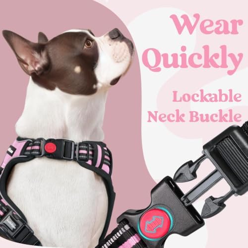 rabbitgoo Dog Harness Medium Sized, Updated Easy On & Off with 3 Buckles - Image 3