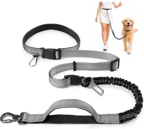 PETCARE 4 in 1 Hands Free Dog Leash with Car Seatbelt Buckle, Shock Absorbing Bungee Dog Waist Leash Belt for Running Walking Hiking, Dual Handles & Reflective, Adjustable for Small Medium Large Dogs by PETCARE