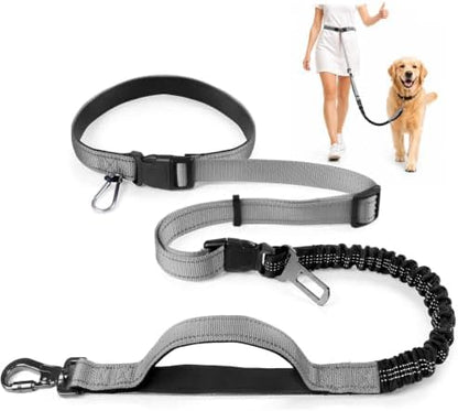 PETCARE 4 in 1 Hands Free Dog Leash with Car Seatbelt Buckle, Shock Absorbing Bungee Dog Waist Leash Belt for Running Walking Hiking, Dual Handles & Reflective, Adjustable for Small Medium Large Dogs by PETCARE
