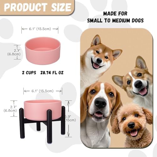 Raised Ceramic Dog Bowl Set with Stand, 2 Cups Elevated Dog Food Stand - Image 2
