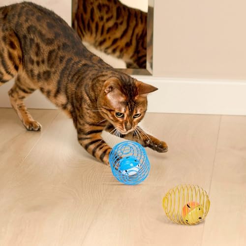 Jecery 5 Pcs Cat Toys Spring,Bell,Multicolor - Image 6