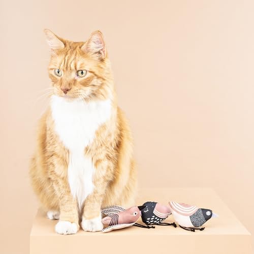 Fringe Studio, Under My Wings, Durable Cotton Canvas Cat Toy, 3PCS Set, PetShop Collection (904029) - Image 5