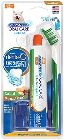 Nylabone Advanced Oral Care Natural Dog Dental Kit Peanut Flavor 2.5 oz. by Nylabone