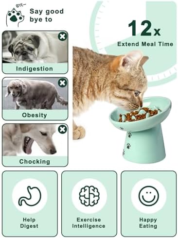 Y YHY Slow Feeder Cat Bowl, Ceramic Cat Slow Feeder Bowl, 6 Inches, Elevated, Anti Vomiting for Dry and Wet Food, Green - Image 2