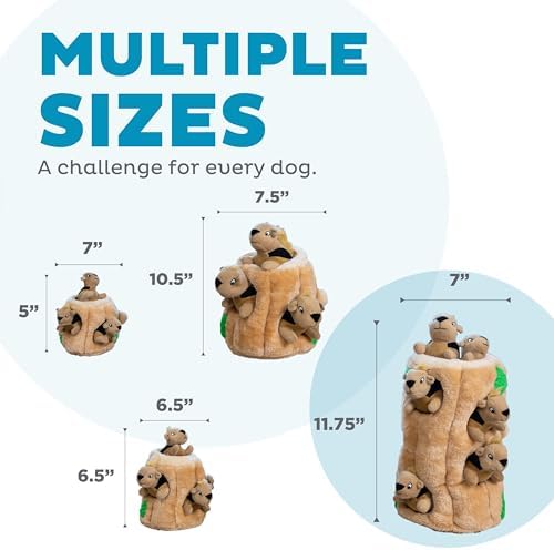 Outward Hound Hide-A-Squirrel Plush Squeaky Dog Toy, XL, 7" x 11.8" - Image 5