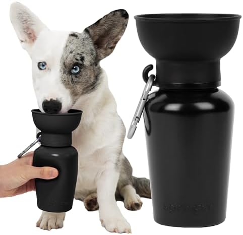 Springland 20oz Flip Portable Dog Water Bottle with Collapsible Bowl, Black by Springland