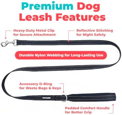Best Pet Supplies Voyager Nylon Dog Leash - Black, Small - Image 2