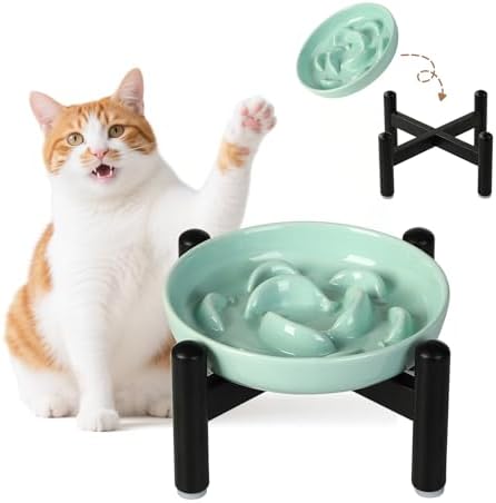 Elevated Ceramic Slow Feeder Cat Bowl, 6.3'' Wide Whisker Friendly by PTOBER