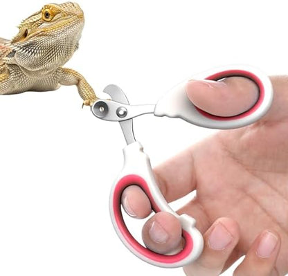 Stainless Steel Bearded Dragon Nail Clippers, Professional Reptile Grooming Tool with Precise Angled Edge, Small Animal Nail Clippers, Cat Nail-Clipper, Claw Trimmer for Birds, Cat, Dogs (Red) by Unknown