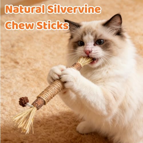 6 Pack Catnip Toys for Indoor Cats, Interactive Cat Toys with Catnip, Chew Kicker, Cat Chew Toy for Adult Cats & Kitten - Image 4