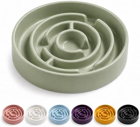 Ceramic Slow Feeder Dog Bowl 1.5 Cup Puzzle Dish for Small Medium Dogs by Unknown